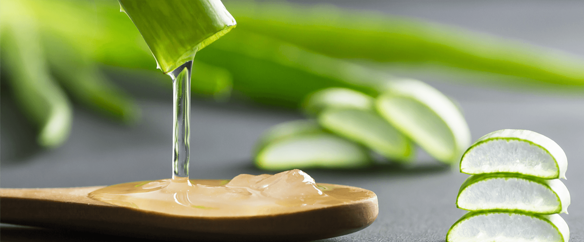 Can You Use Shea Butter And Aloe Vera For Stretch Marks